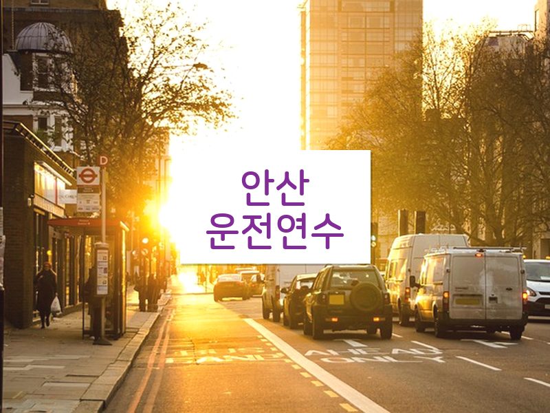 안산운전연수 후기