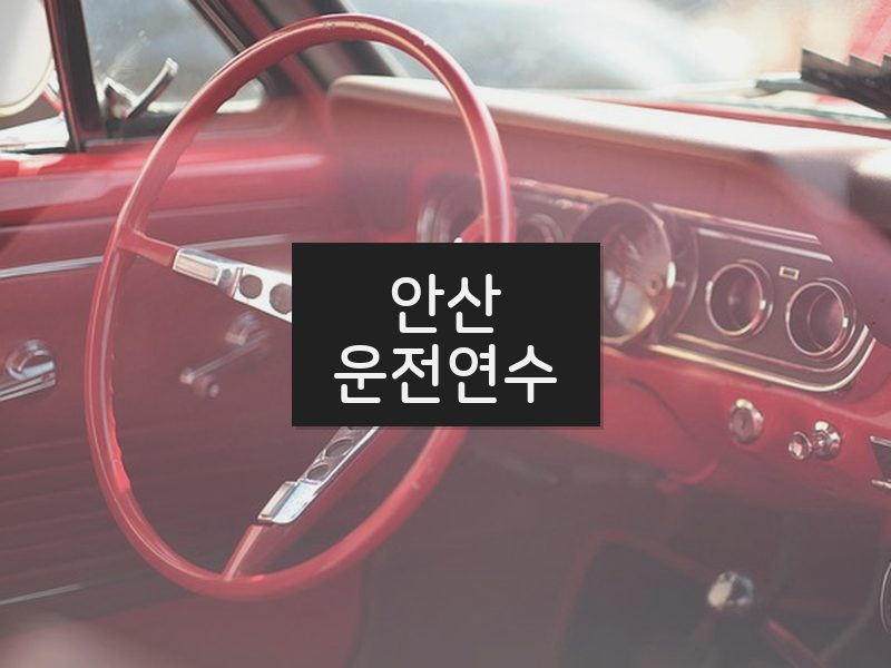 안산운전연수 후기