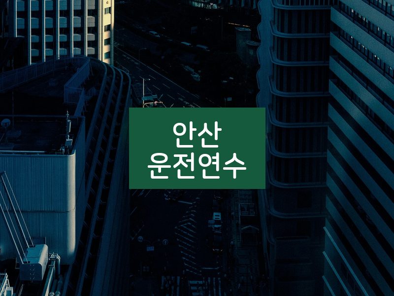 안산운전연수 후기
