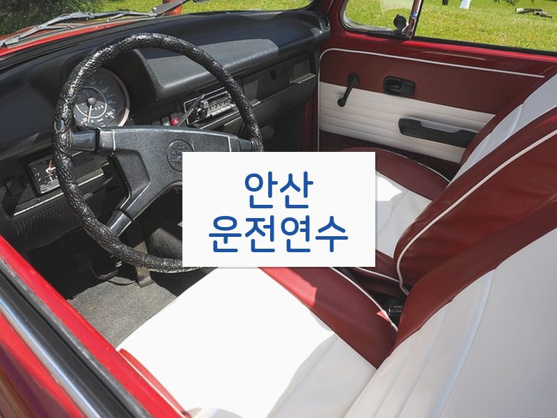 안산운전연수 후기