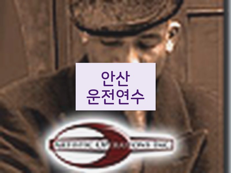 안산운전연수 후기