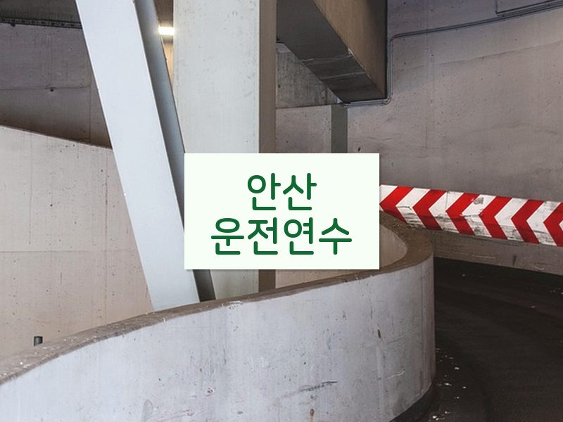 안산운전연수 후기