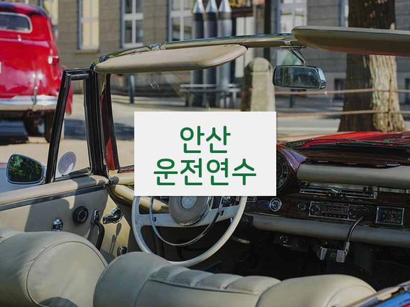 안산운전연수 후기