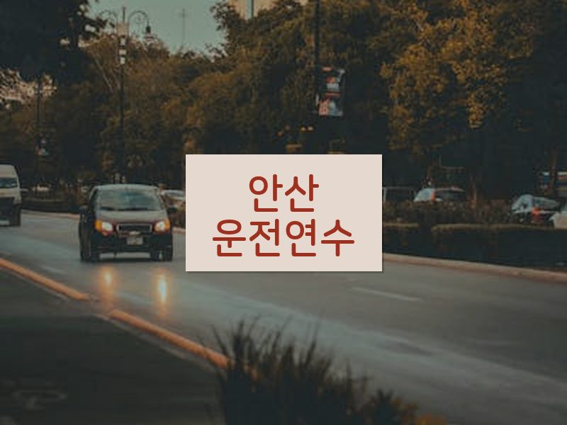 안산운전연수 후기
