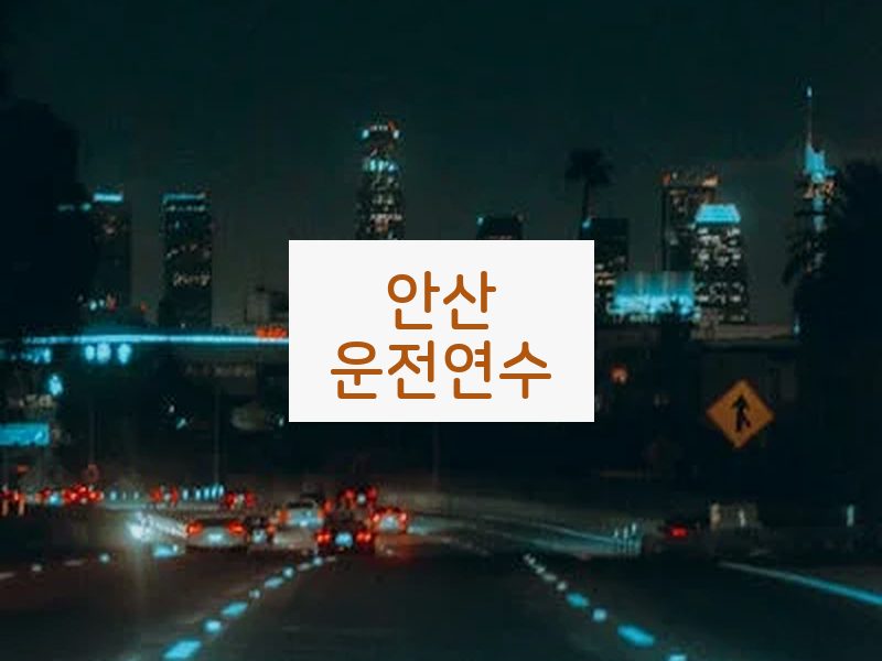 안산운전연수 후기