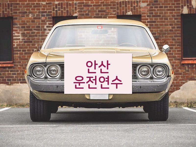 안산운전연수 후기