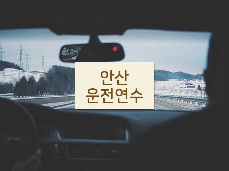 안산운전연수 후기