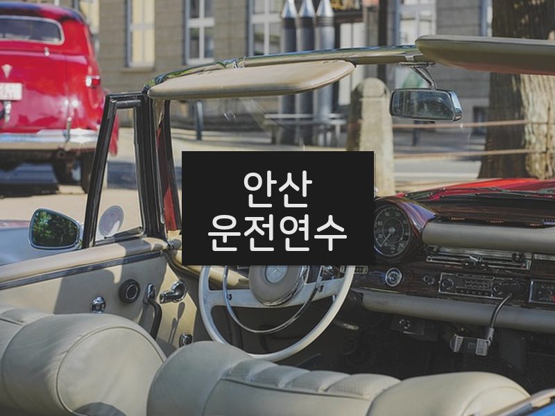 안산운전연수 후기
