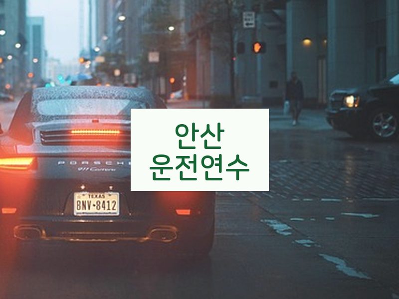 안산운전연수 후기