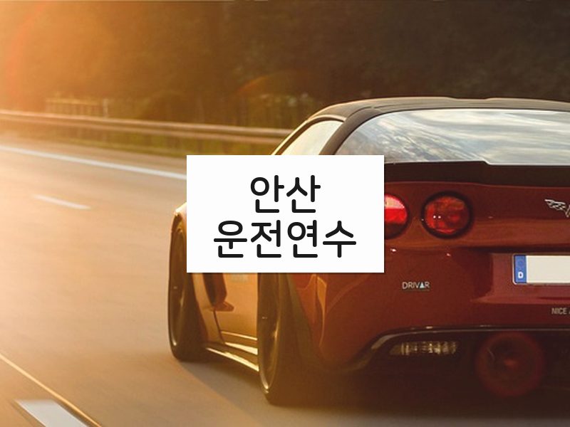 안산운전연수 후기
