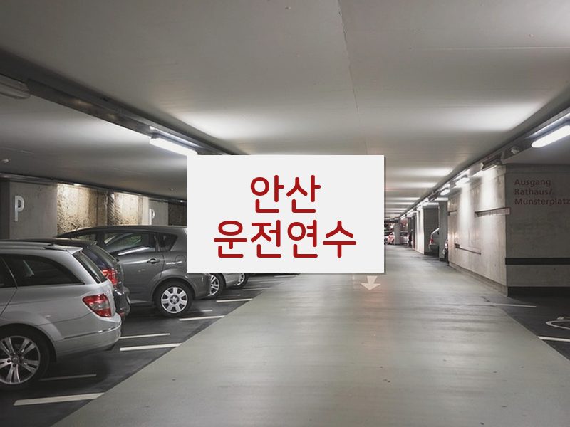 안산운전연수 후기