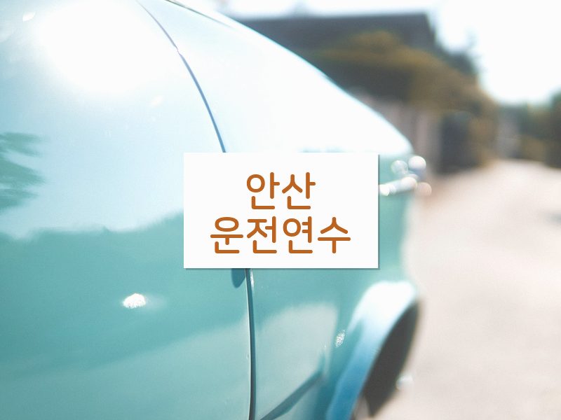 안산운전연수 후기