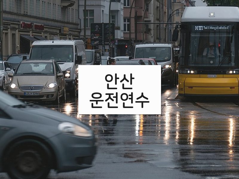 안산운전연수 후기