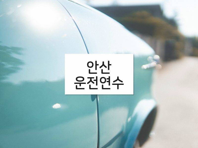 안산운전연수 후기
