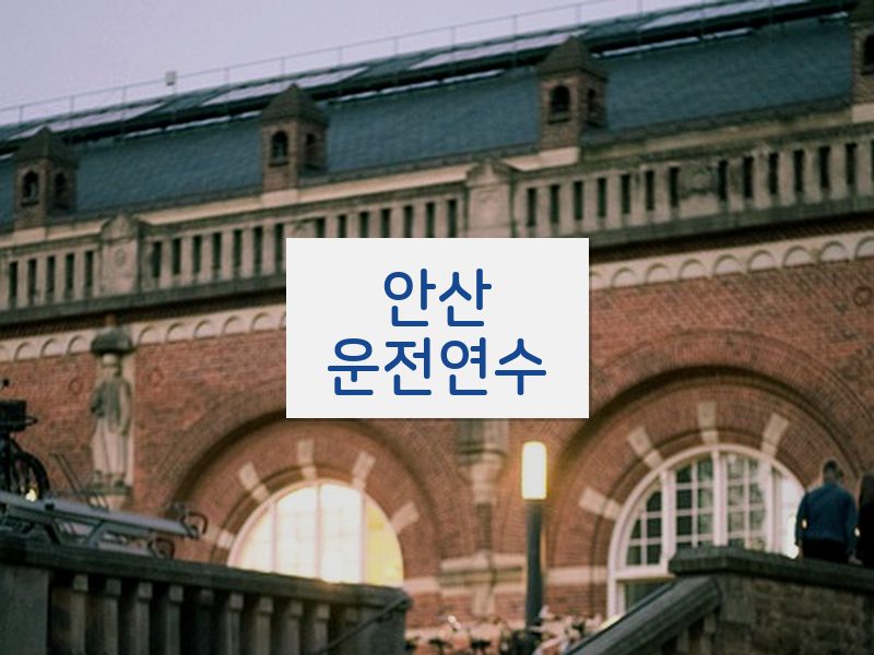 안산운전연수 후기