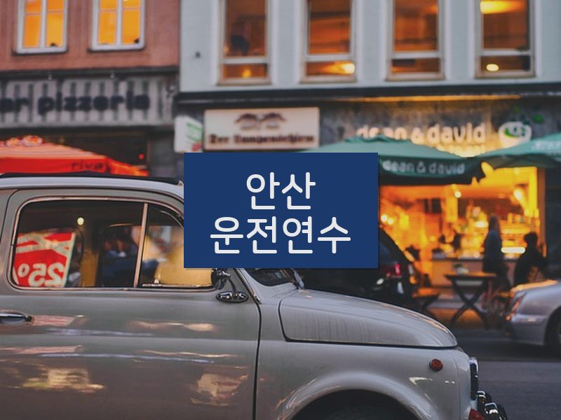 안산운전연수 후기