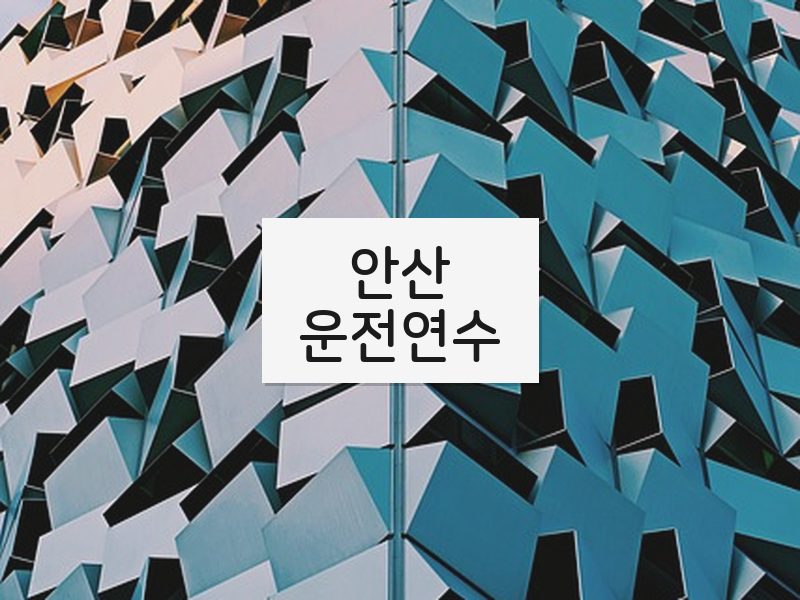 안산운전연수 후기