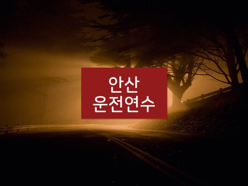 안산운전연수 후기