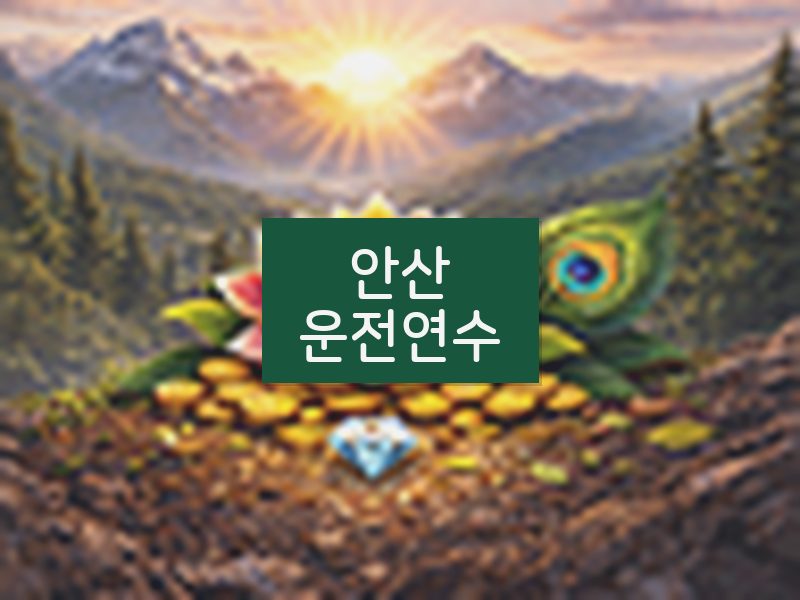 안산운전연수 후기