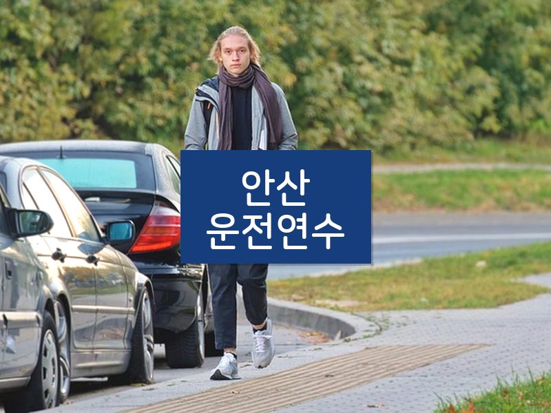 안산운전연수 후기