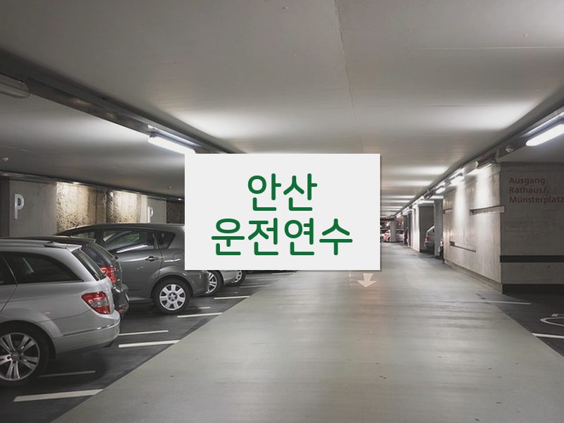 안산운전연수 후기