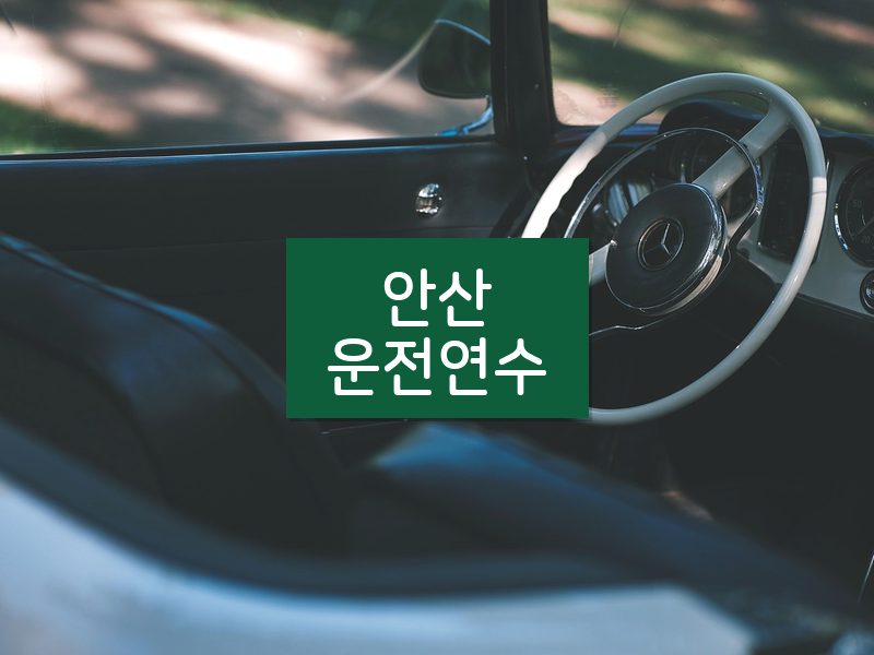 안산운전연수 후기