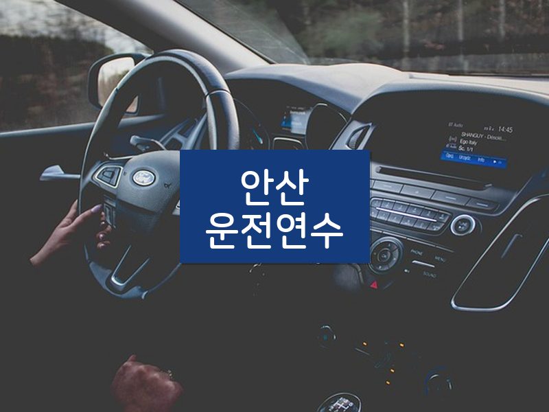 안산운전연수 후기