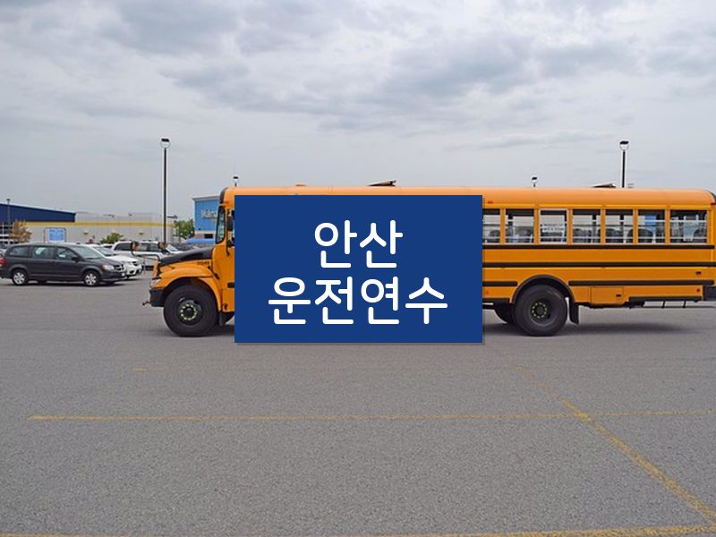 안산운전연수 후기