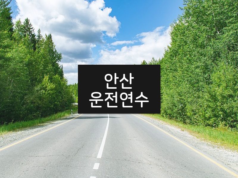 안산운전연수 후기