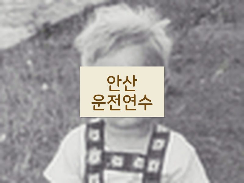 안산운전연수 후기