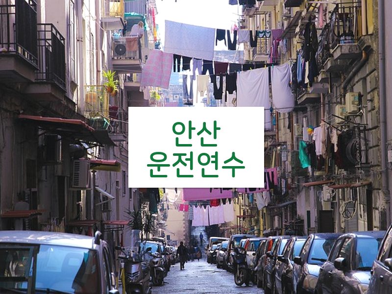 안산운전연수 후기
