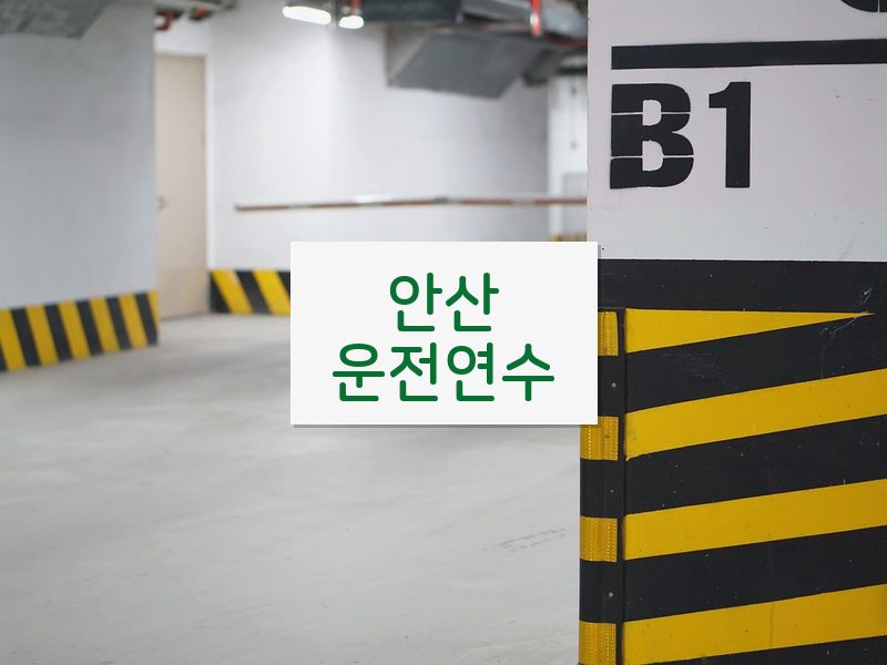안산운전연수 후기
