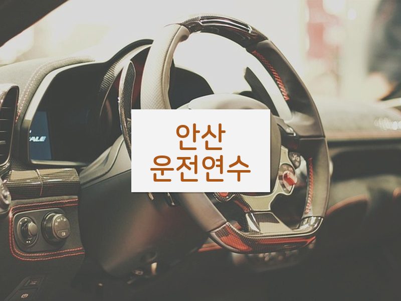 안산운전연수 후기