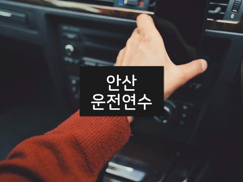 안산운전연수 후기