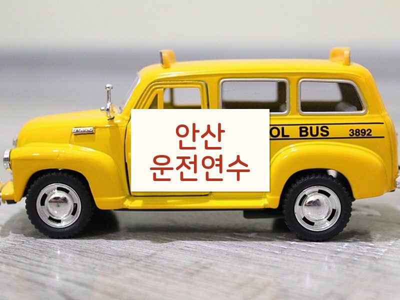 안산운전연수 후기