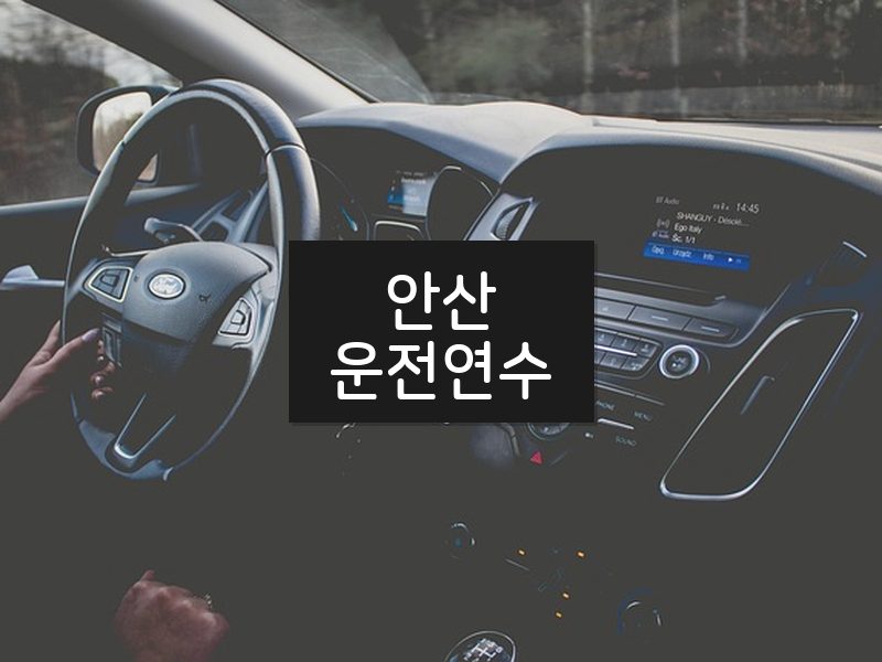 안산운전연수 후기