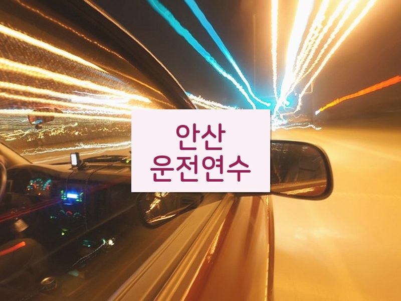 안산운전연수 후기