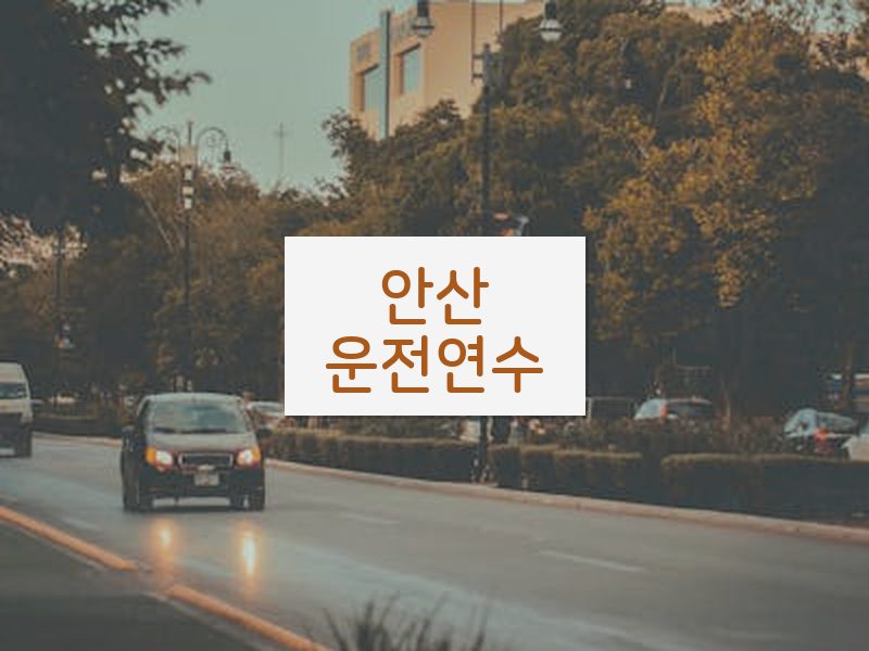 안산운전연수 후기