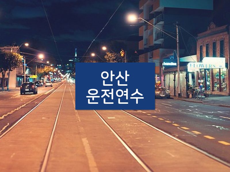 안산운전연수 후기