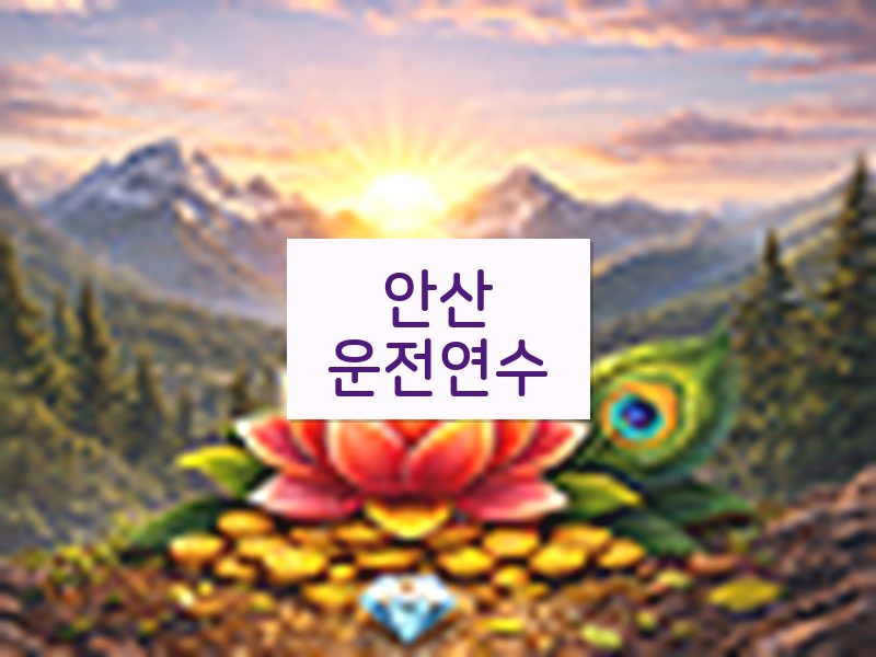 안산운전연수 후기