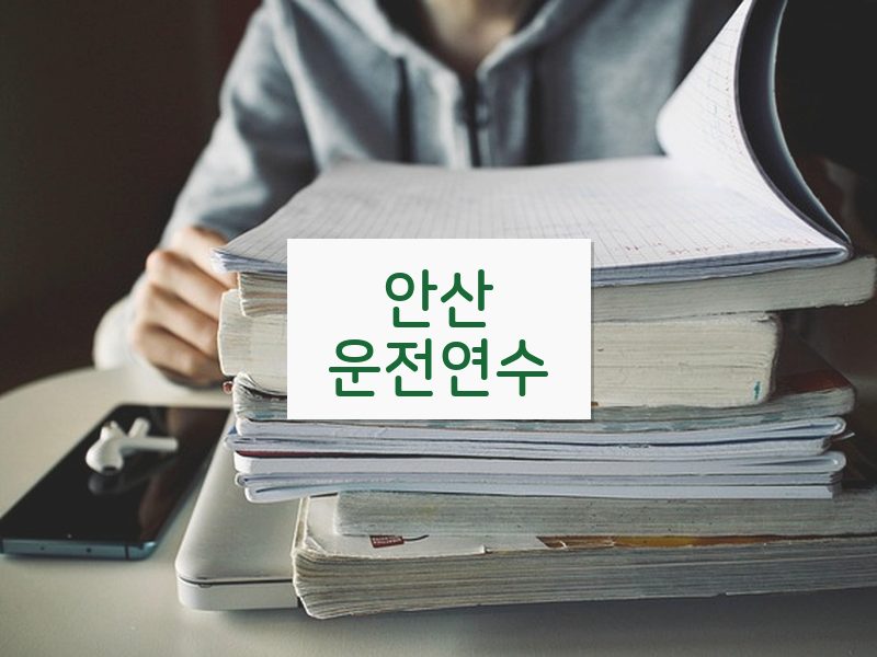 안산운전연수 후기