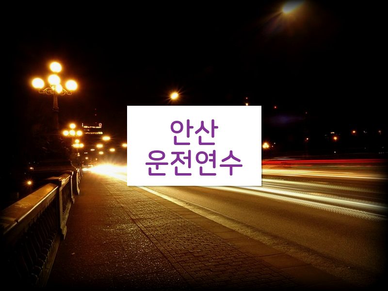 안산운전연수 후기