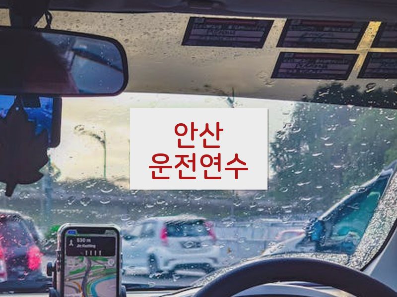 안산운전연수 후기