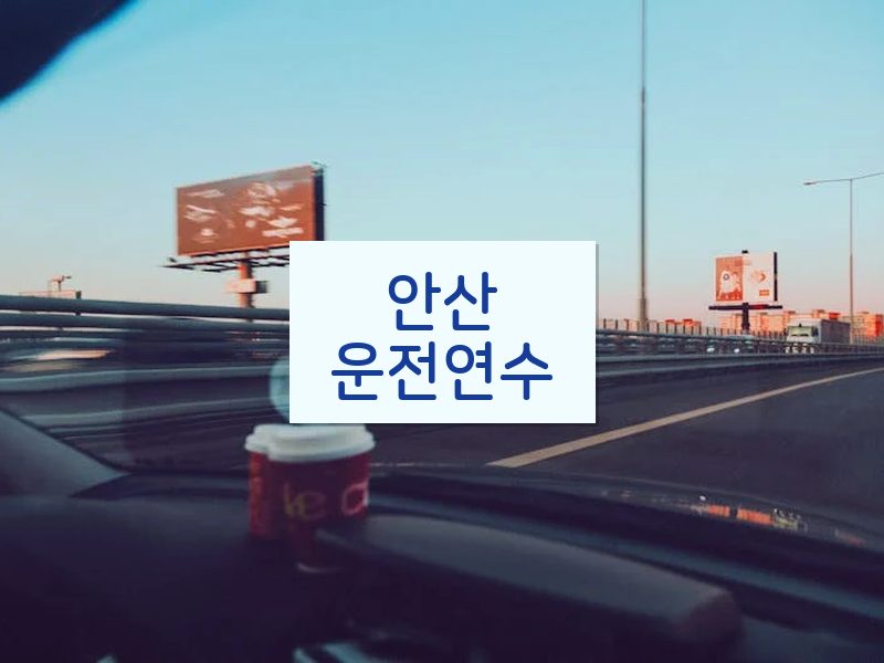 안산운전연수 후기