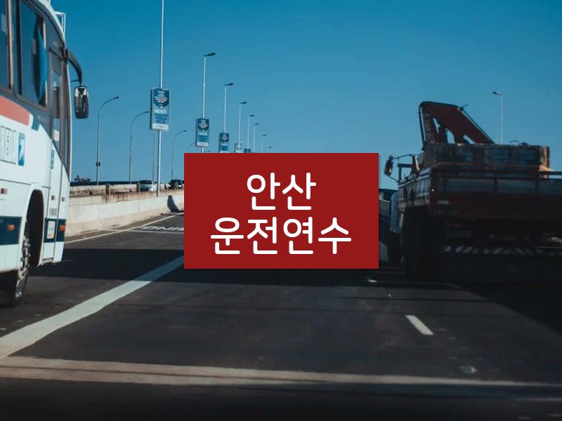 안산운전연수 후기