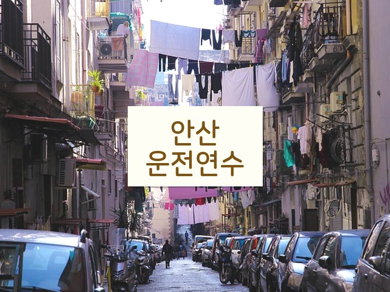 안산운전연수 후기