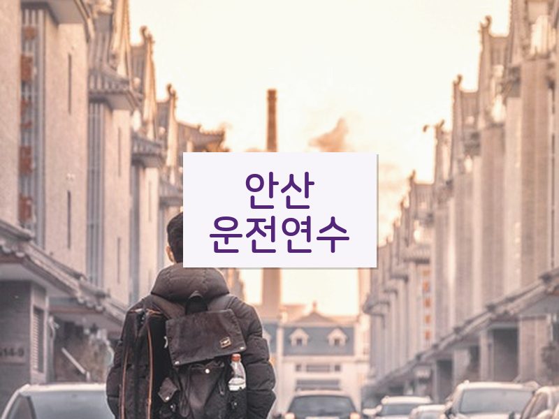 안산운전연수 후기