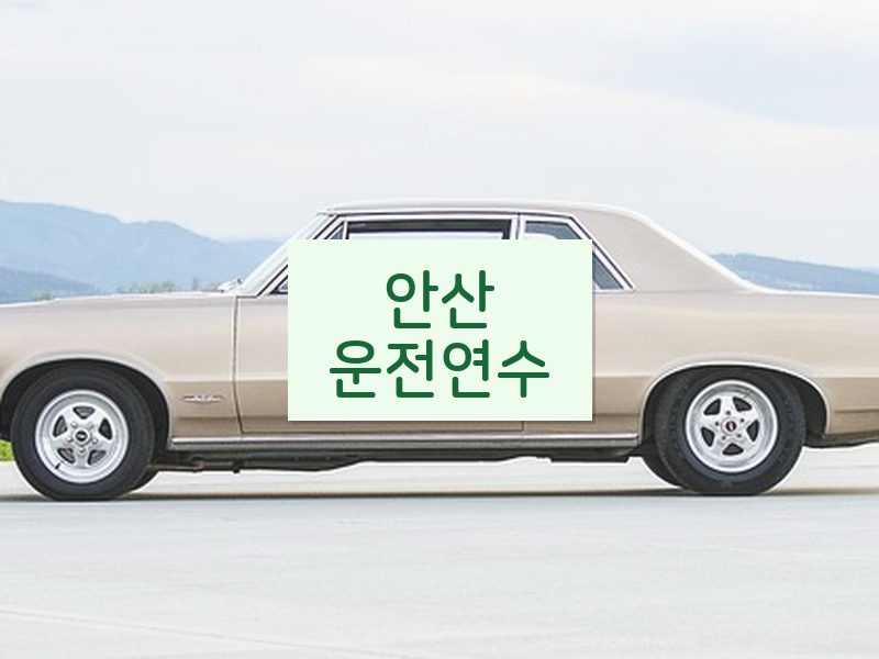 안산운전연수 후기