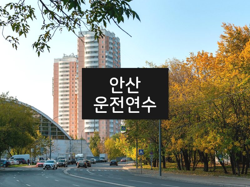 안산운전연수 후기
