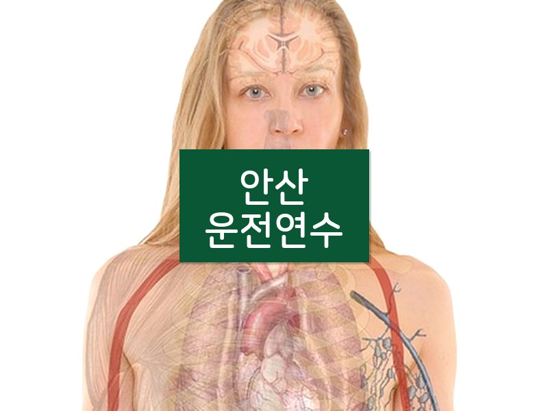 안산운전연수 후기